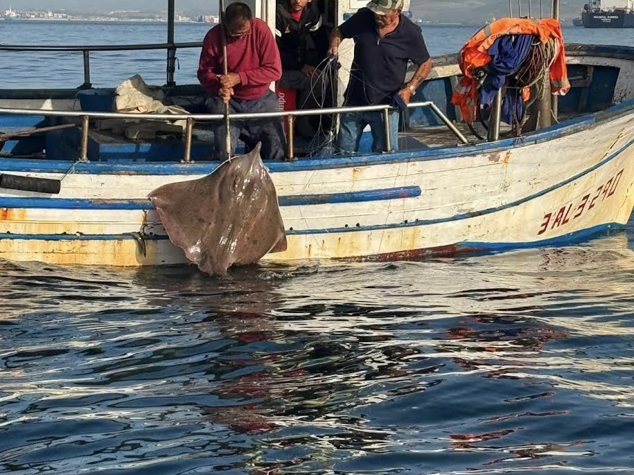 Spanish Fishing Vessel Reported For Fishing In BGTW