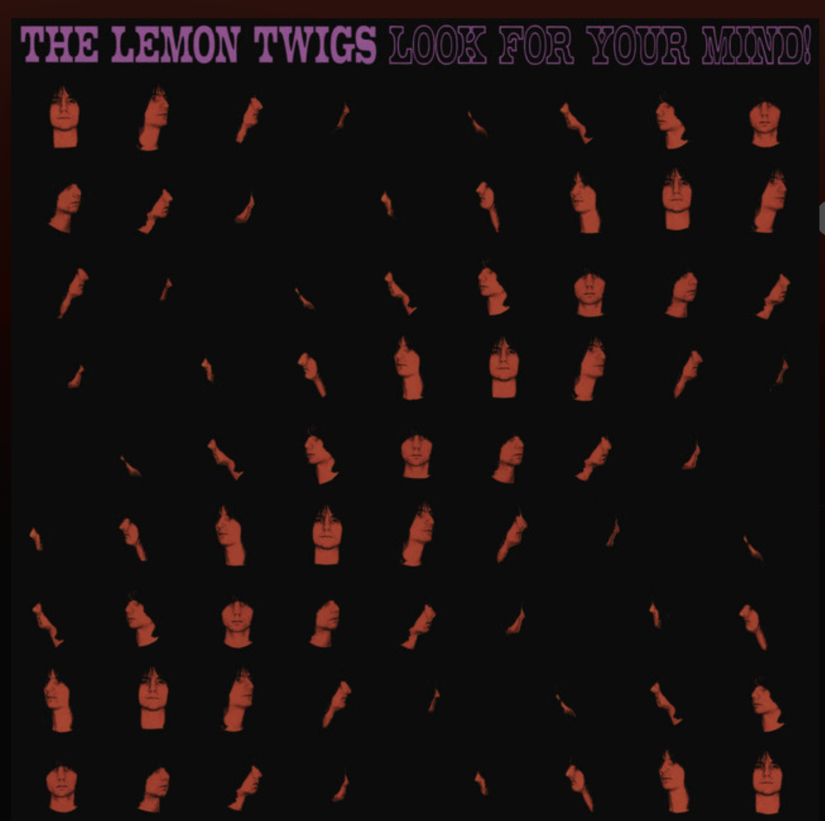 LemonTwigs.png